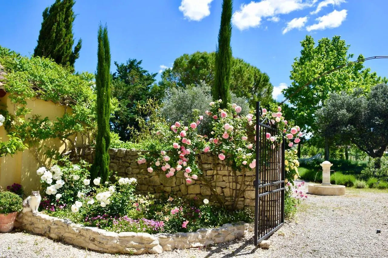 Bed & Breakfast Bastide Saint-Didier Saint Didier