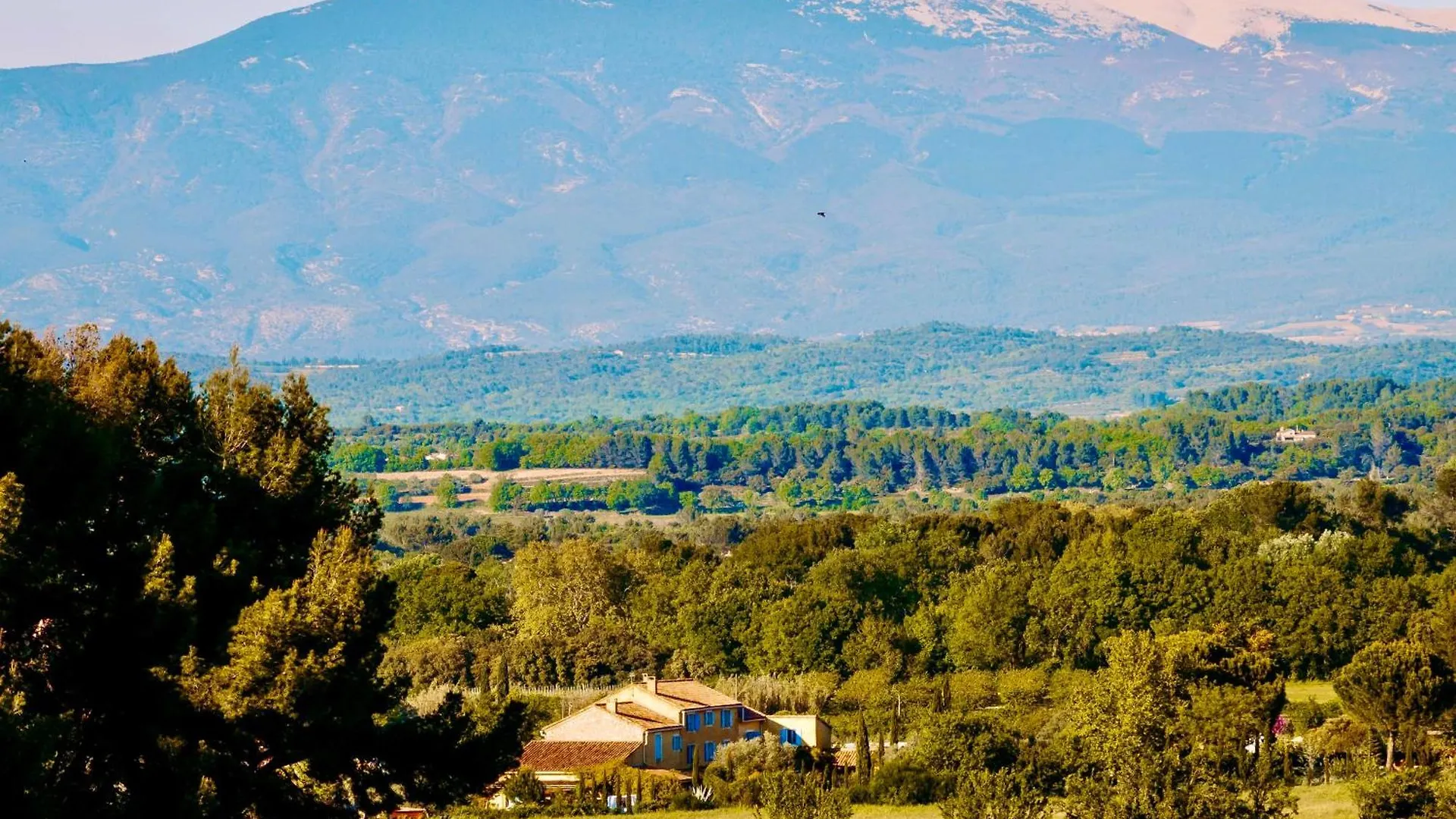Bastide Saint-Didier Bed & Breakfast Saint Didier (Vaucluse)
