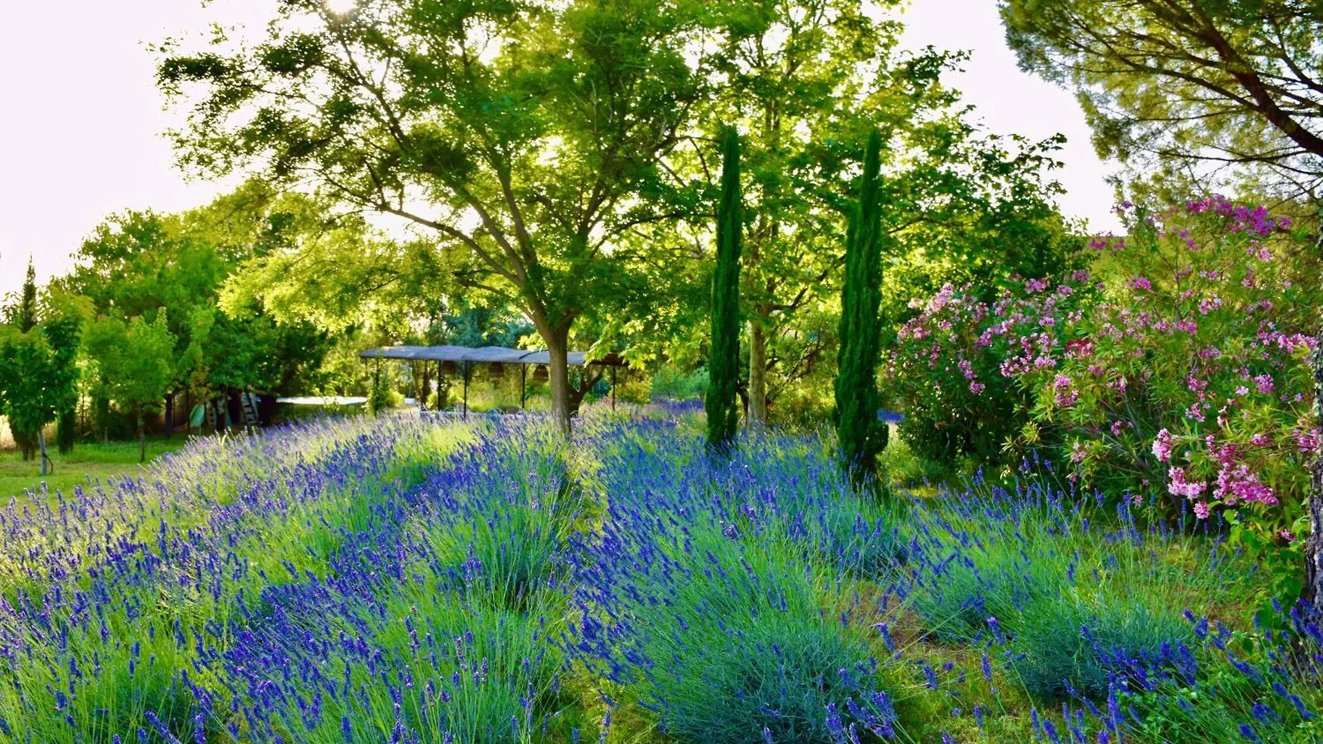 Bastide Saint-Didier Saint Didier  B&B Saint Didier (Vaucluse)